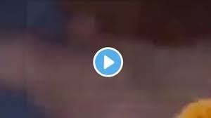 soice vids|Full Videos Of Ice Spice Leaked Eating Munch.